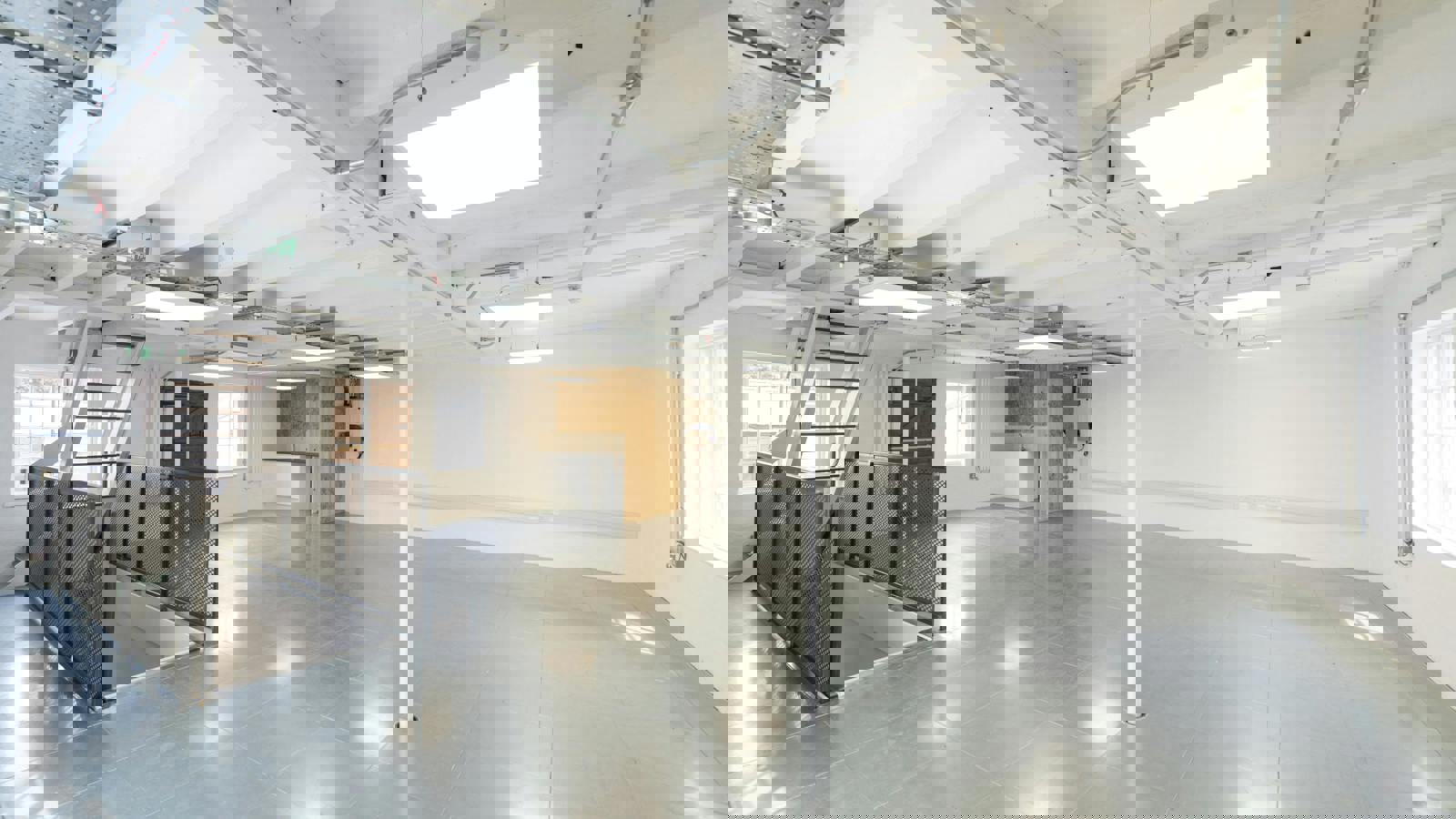 _IAC1497.jpg _IAC1497