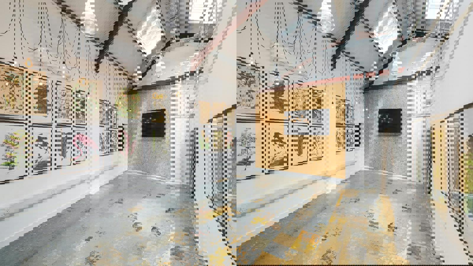 _IAC1528.jpg _IAC1528