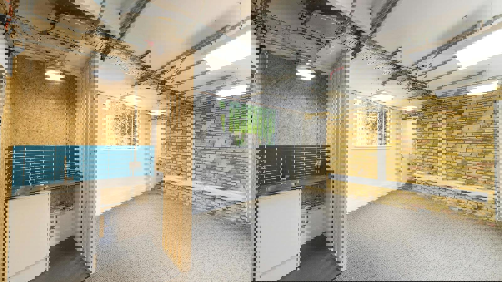 _IAC1557.jpg _IAC1557