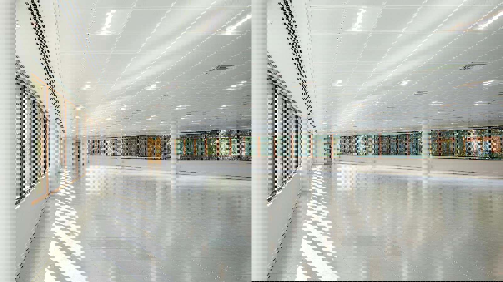 7P7A3787Edit.jpg 7P7A3787Edit