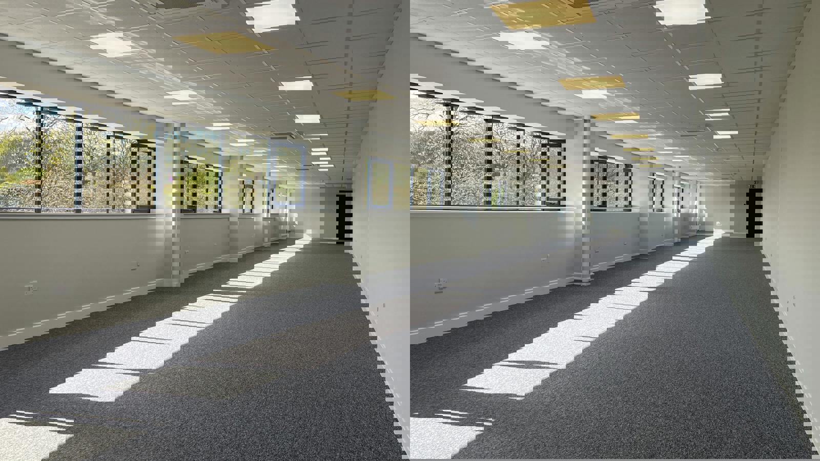 IMG_37311.JPG IMG_3736