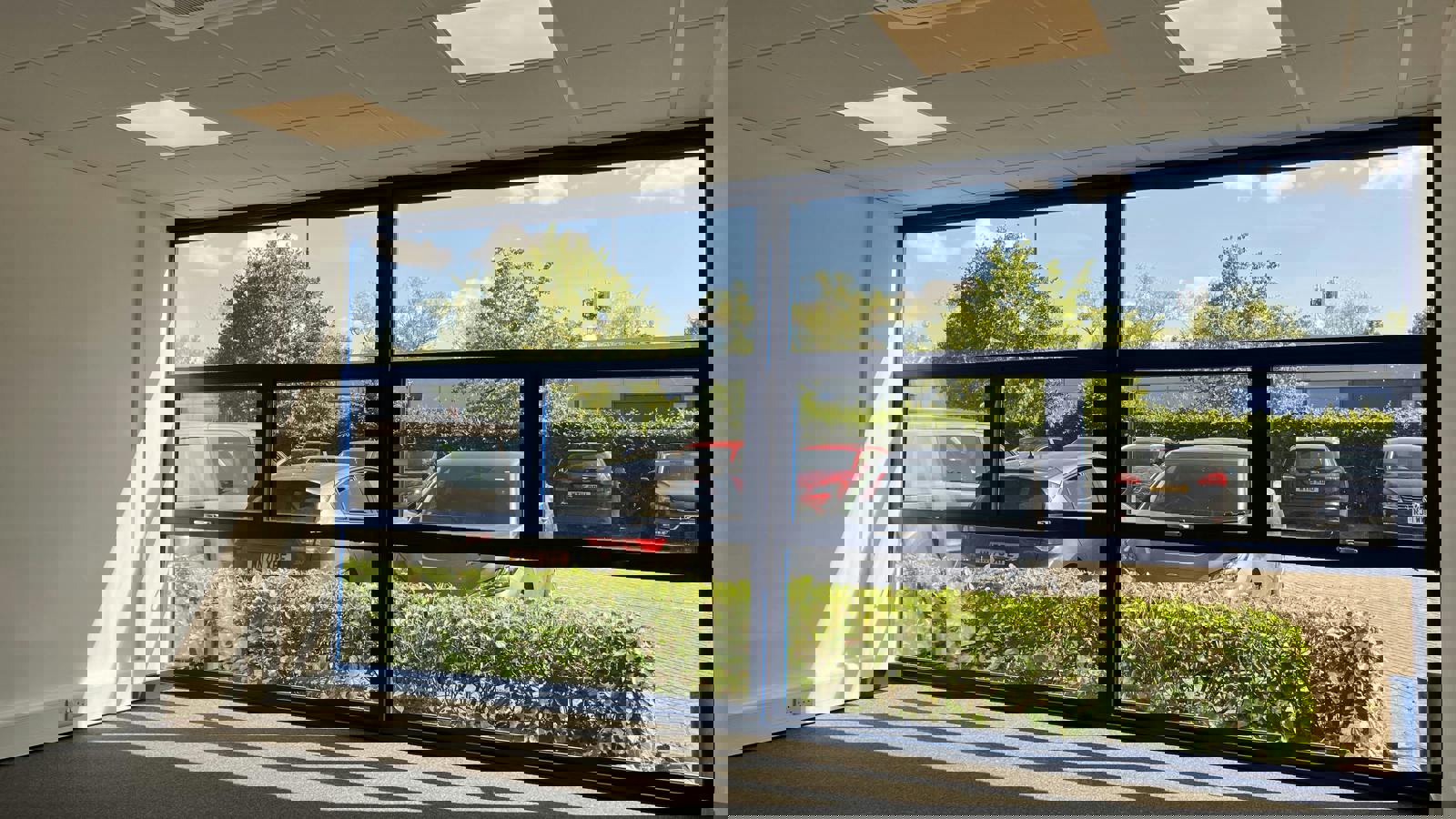 IMG_2700.JPG IMG_2700