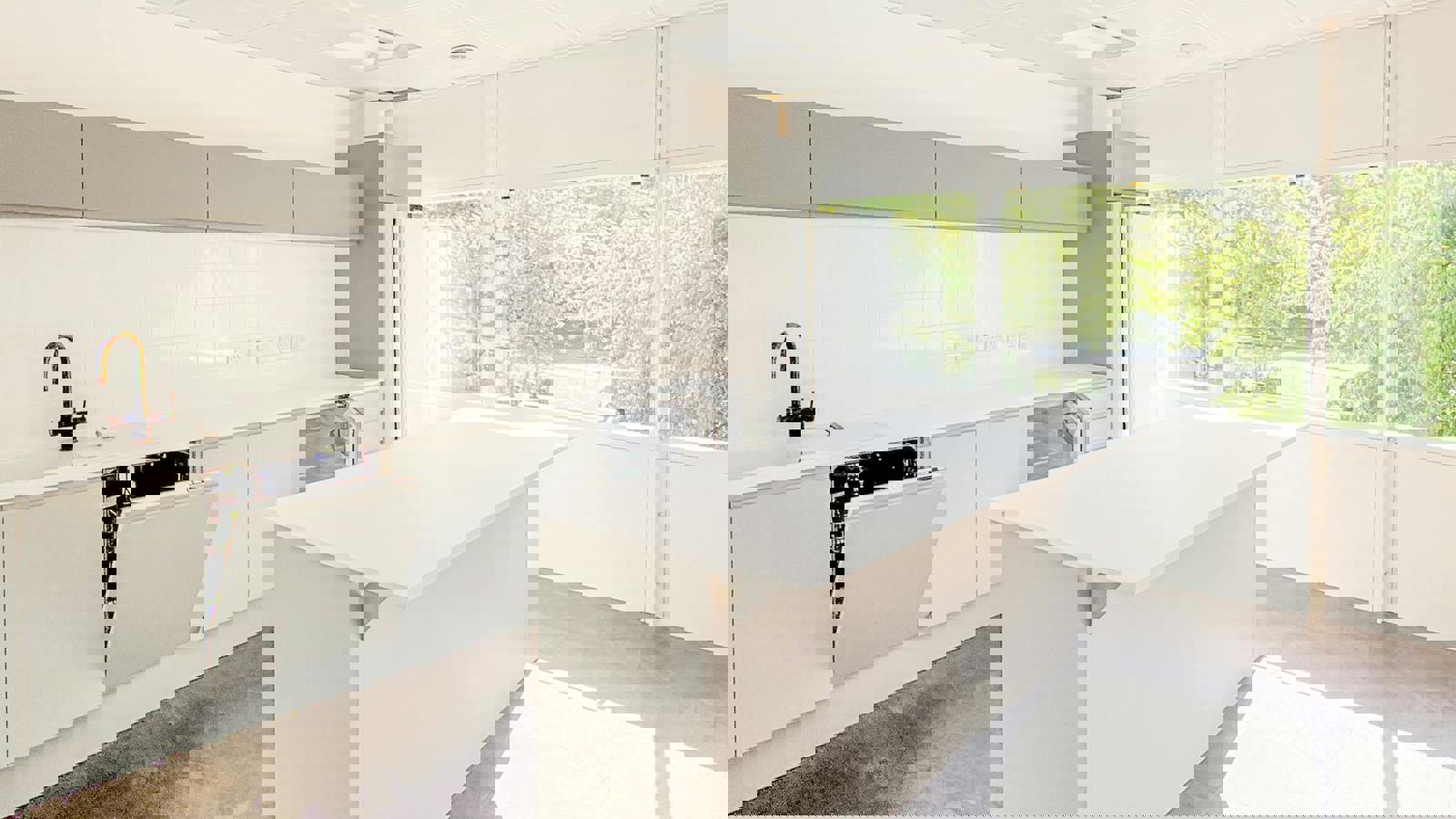 IMG_4388.jpg IMG_4388