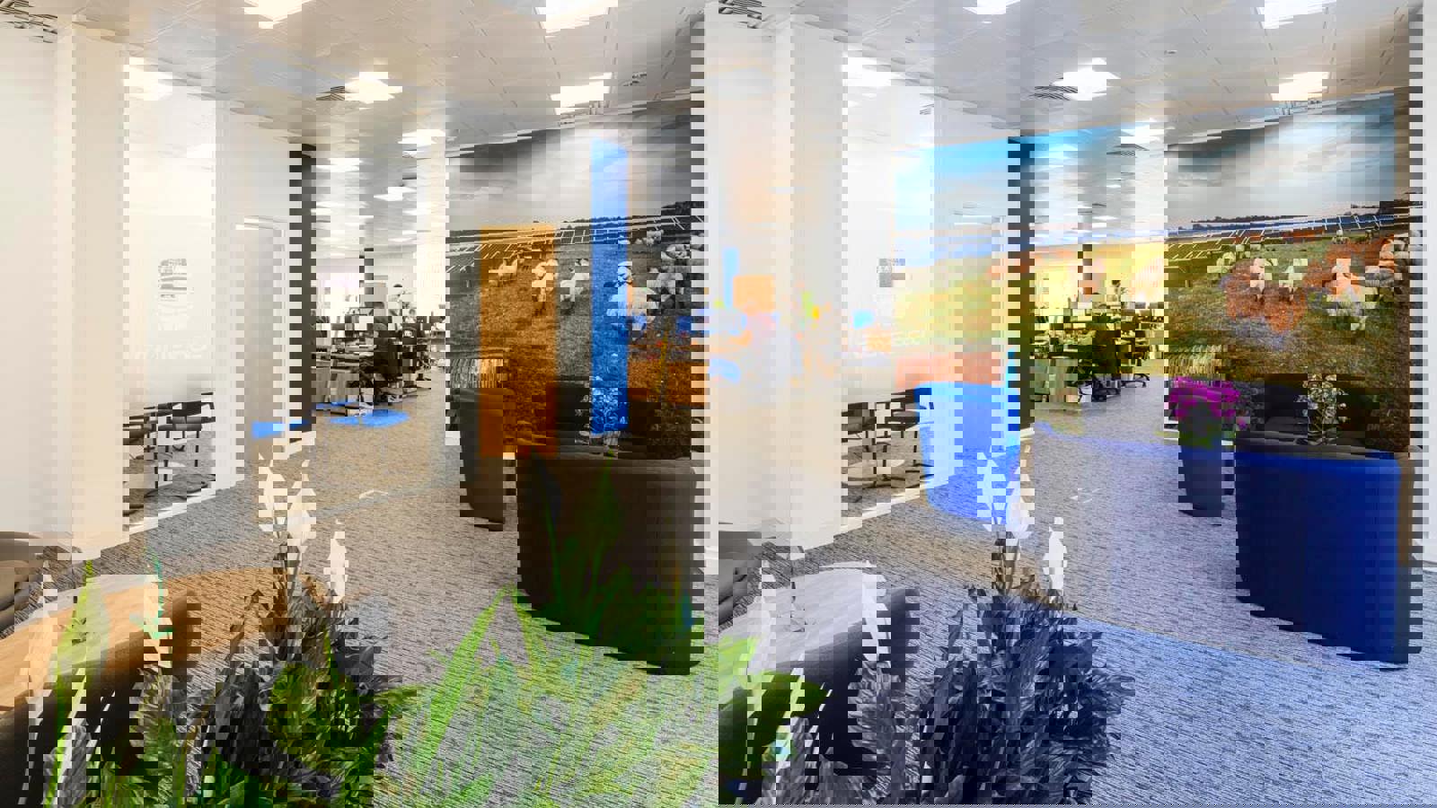 Image 4.jpeg Image 4