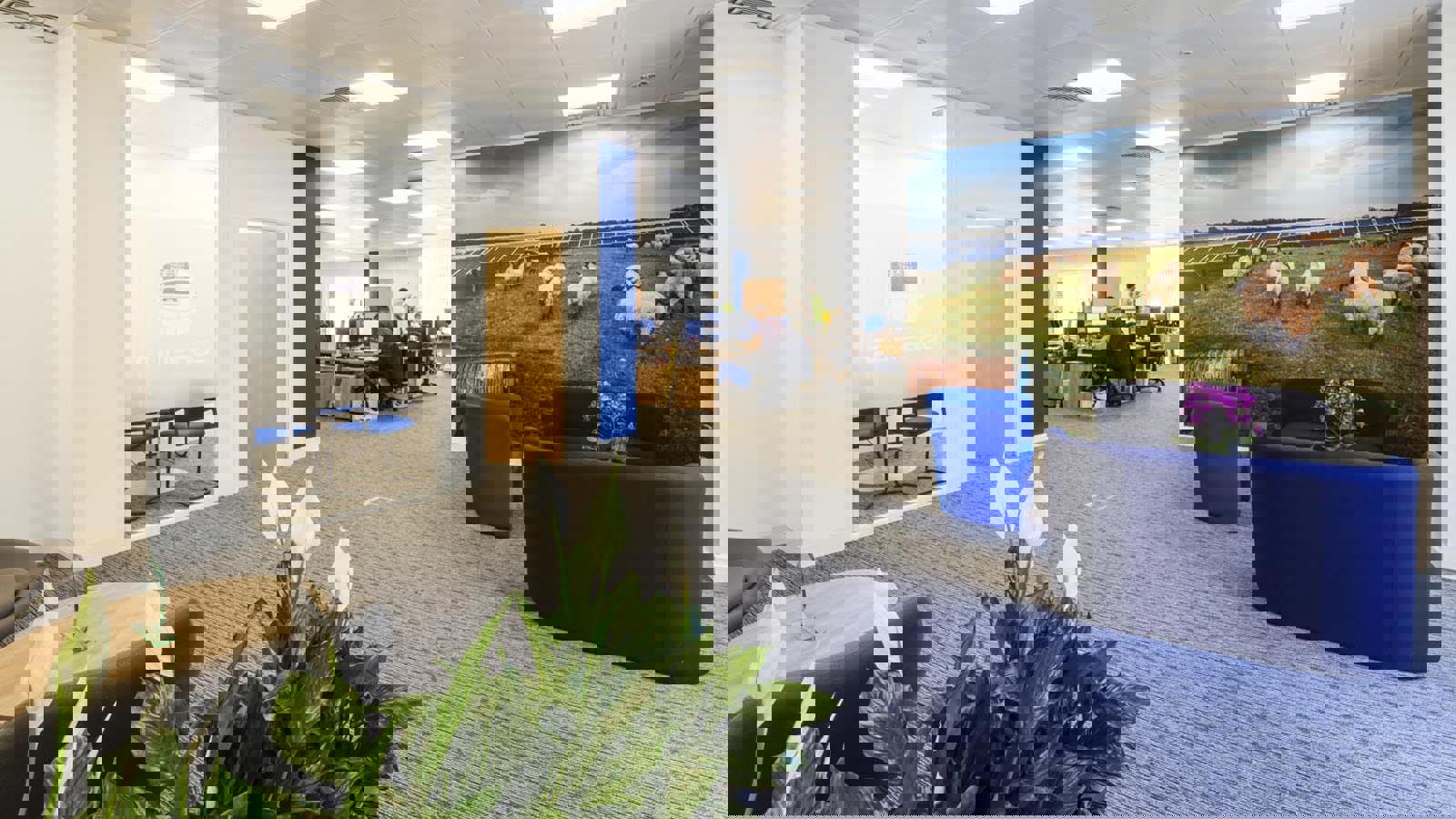 Image 9.jpeg Image 4