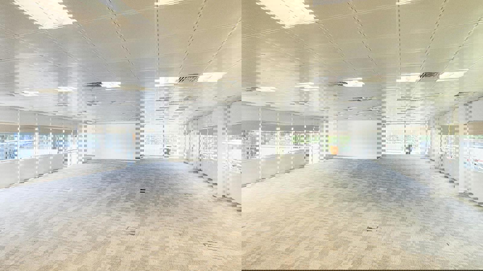 IMG_4387.jpg IMG_4387