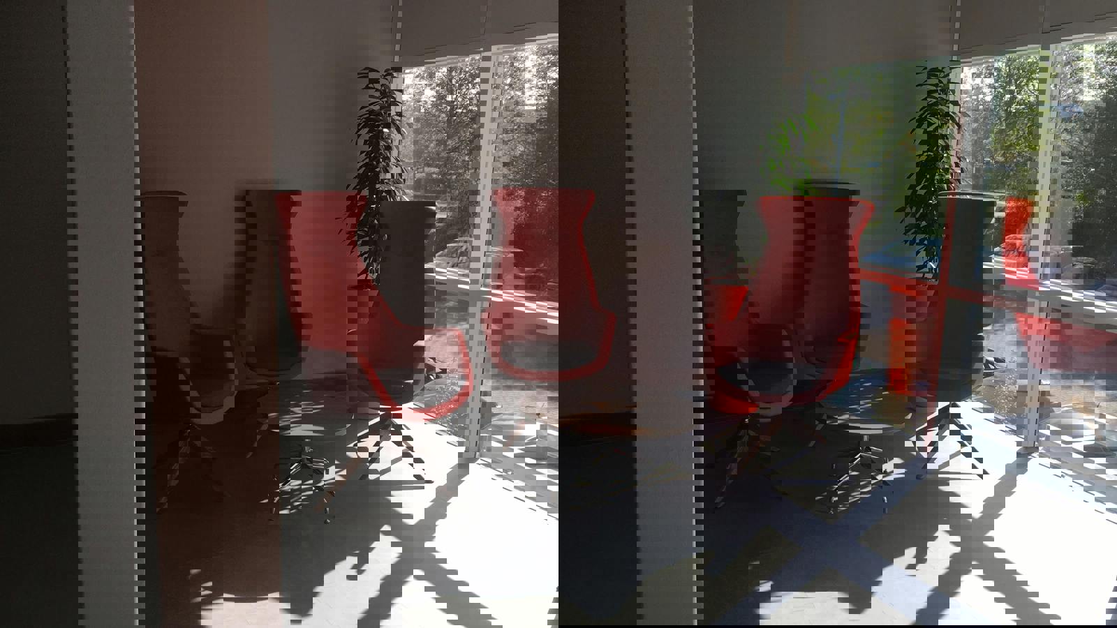 Image 16.jpeg Image 5