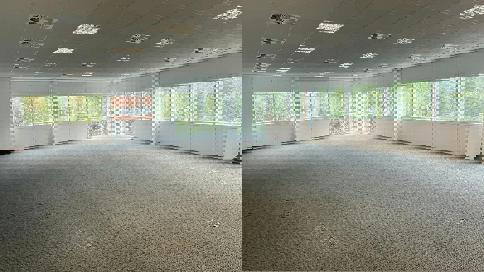 Image 5.jpeg Image 2