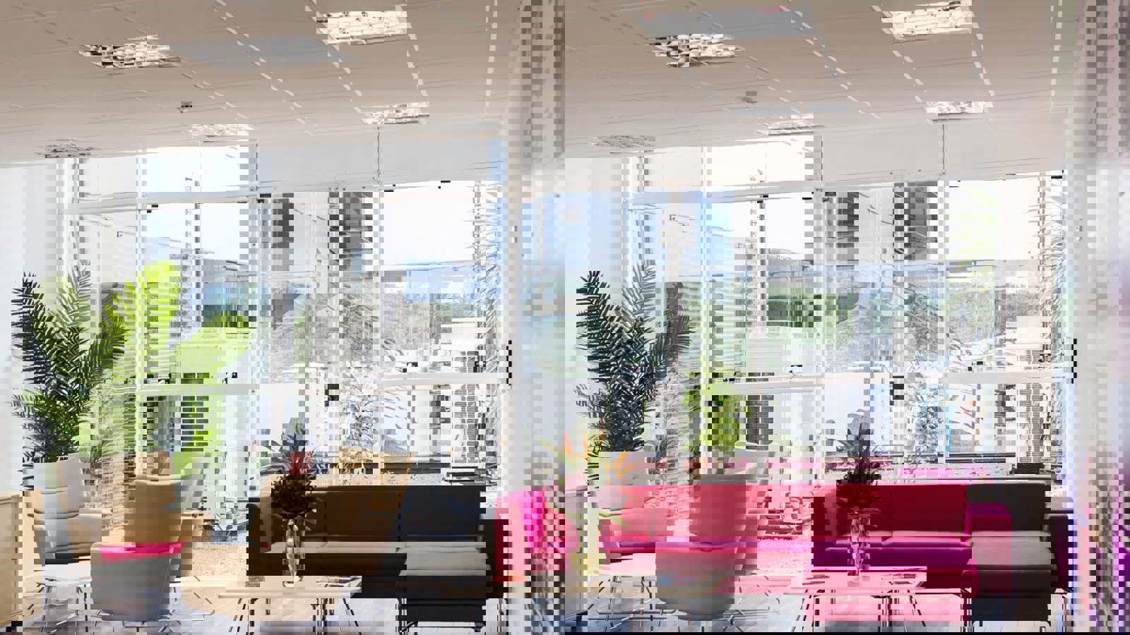 Image 5.jpeg Image 5