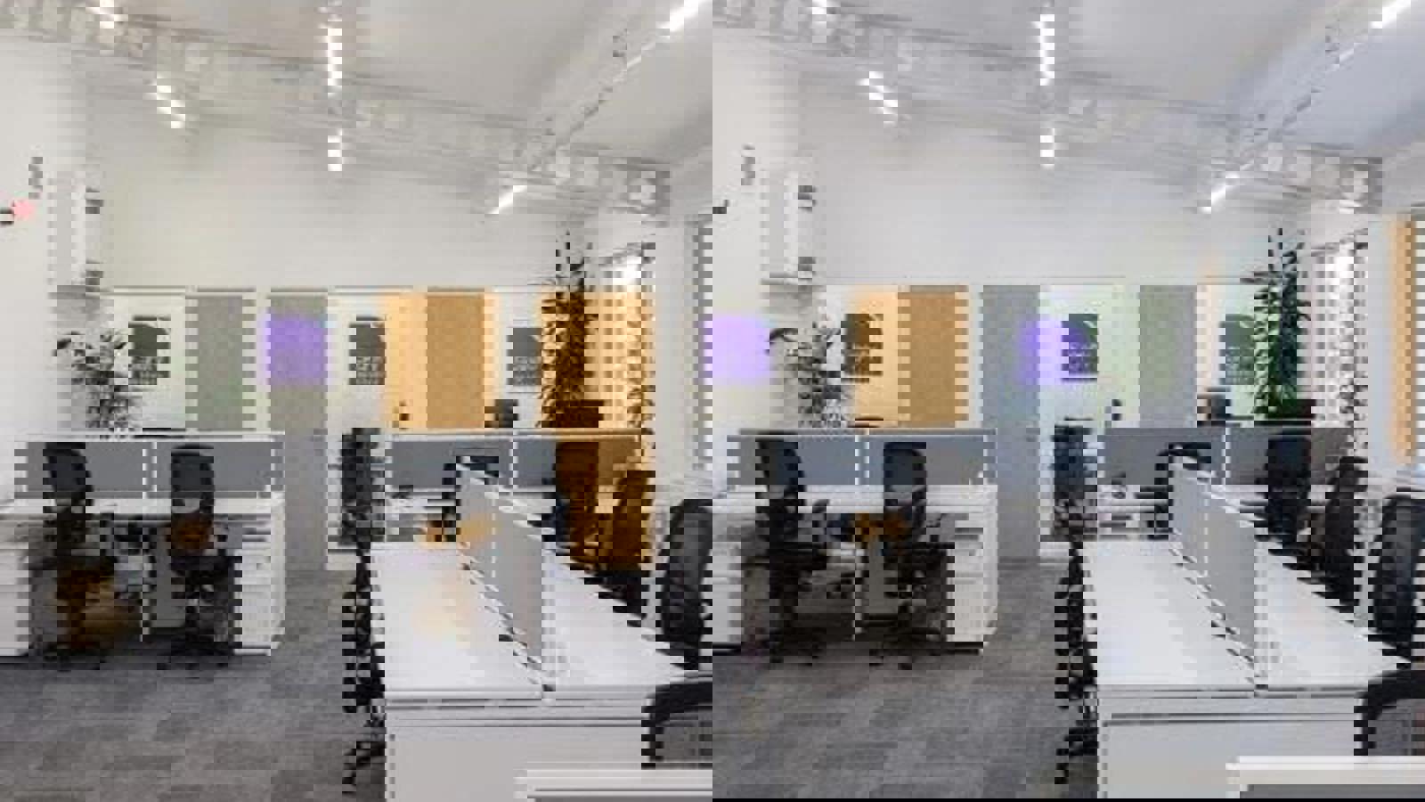 CIC Office.JPG CIC Office