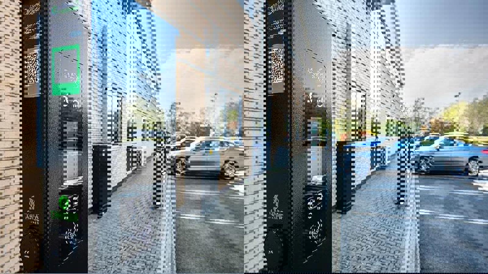 Image 11.jpeg Image 11