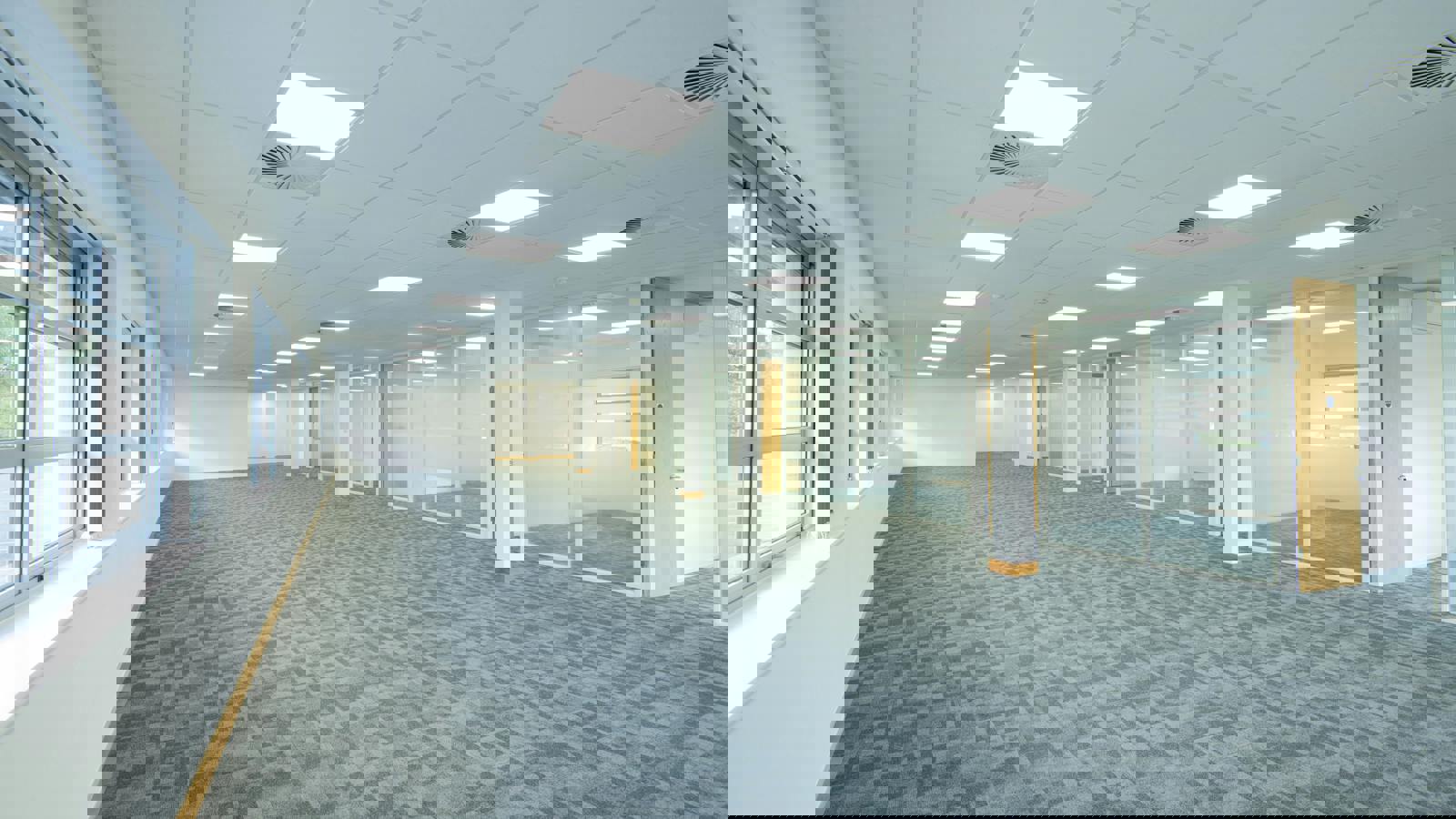 Image 3.jpeg Image 3