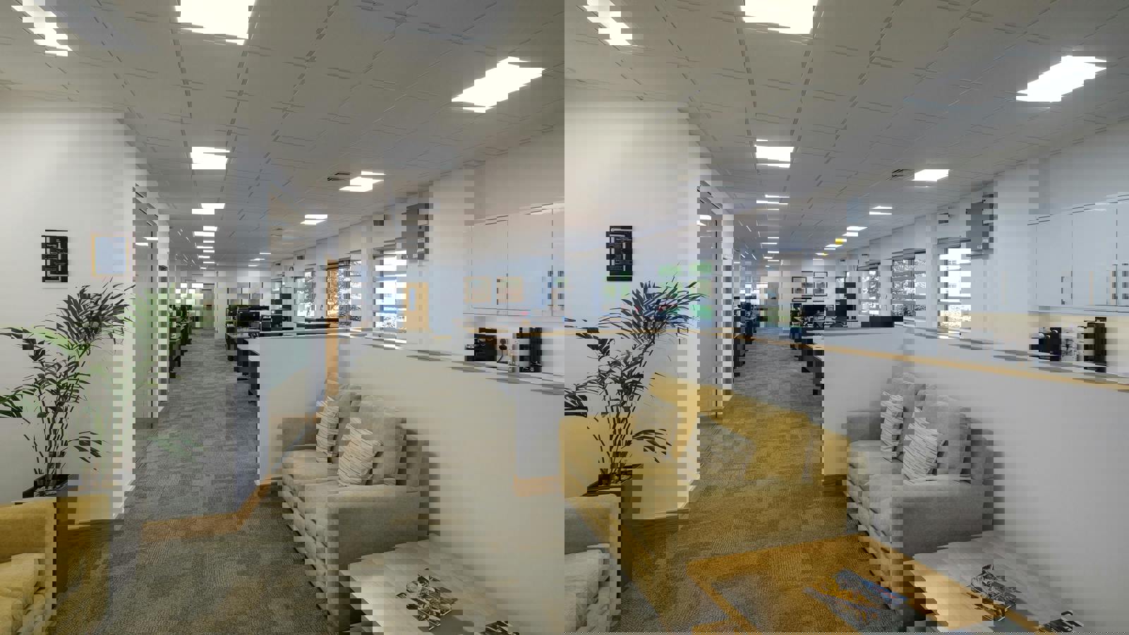 Image 11.jpeg Image 4