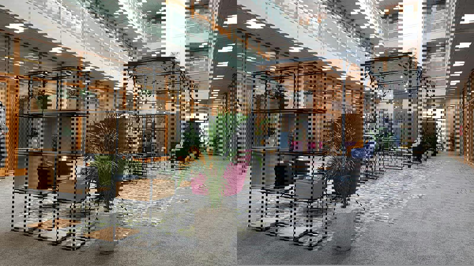 Shenley Atrium Fitout Main .jpg Shenley Atrium Fitout Main 