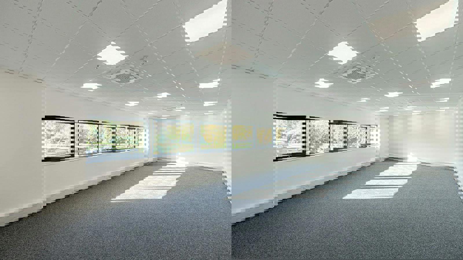 ae5d1fd3-ee69-4ce4-8604-e6cec951d4a9_web1.jpg ae5d1fd3-ee69-4ce4-8604-e6cec951d4a9_web