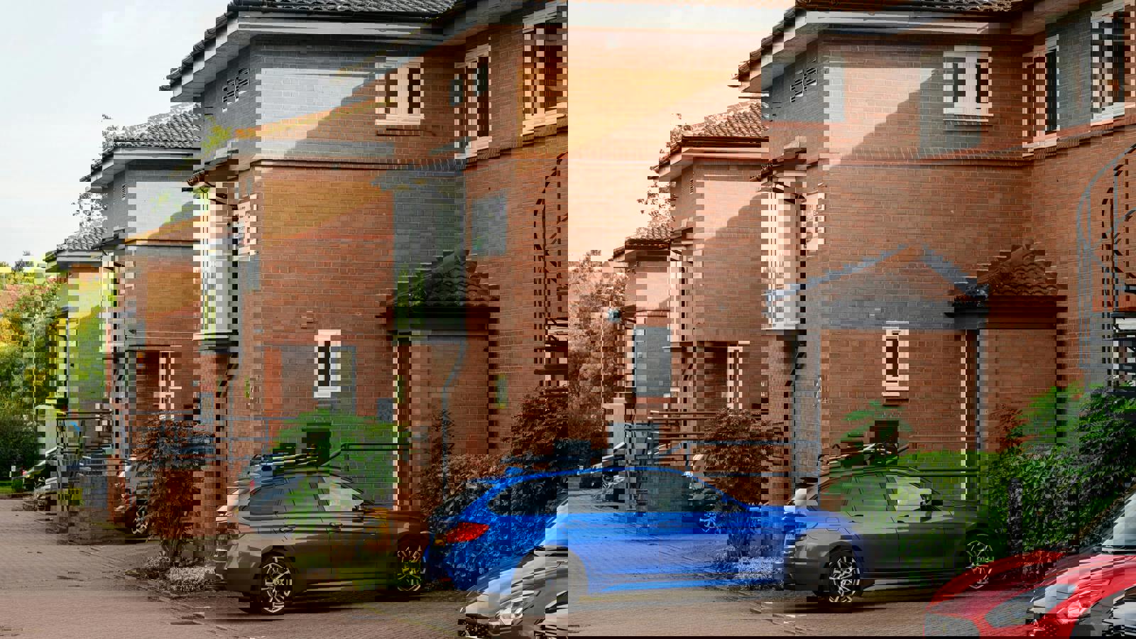 240909_0285_HOLLIS TIF 30060430746.jpg 240909_0285_HOLLIS TIF 30060430745