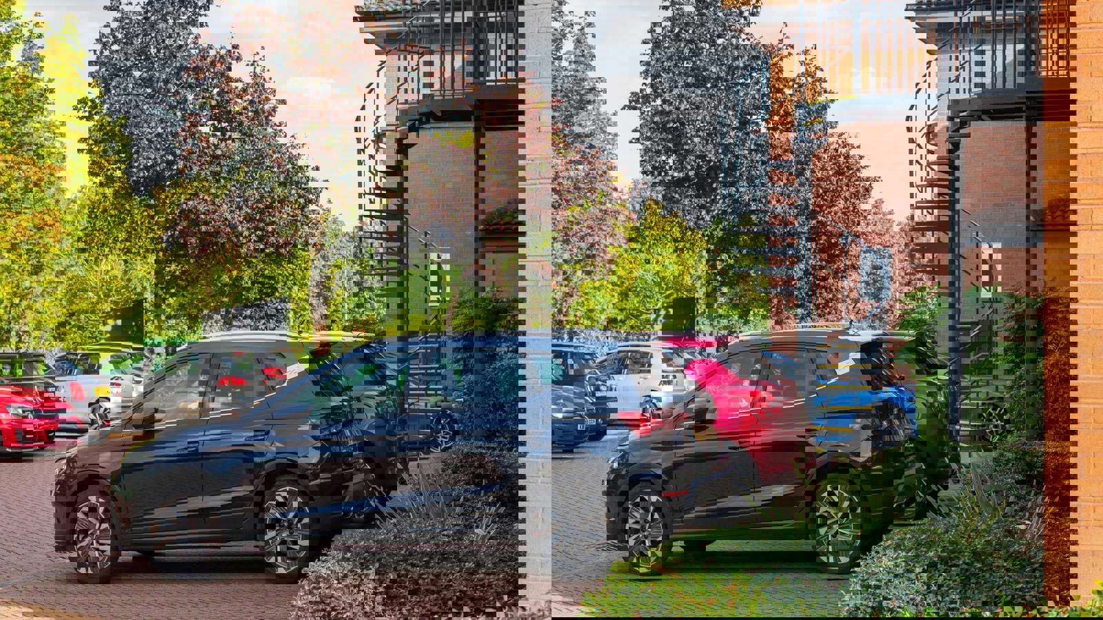 240909_0304_HOLLIS TIF 30060430638.jpg 240909_0304_HOLLIS TIF 30060430637