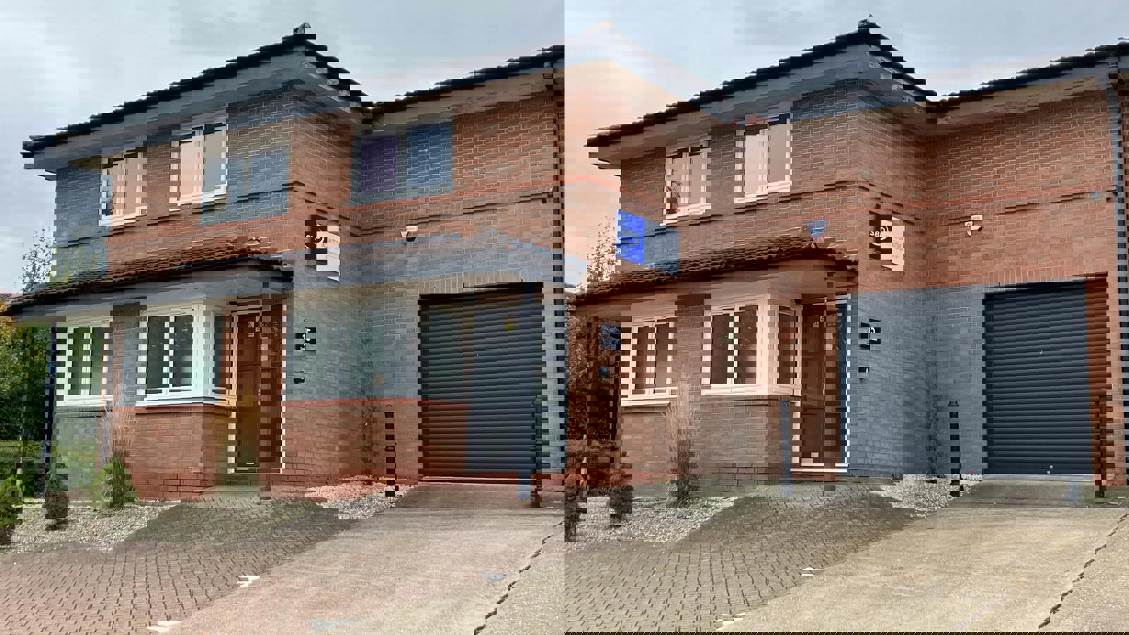 IMG_1138.JPG IMG_1137