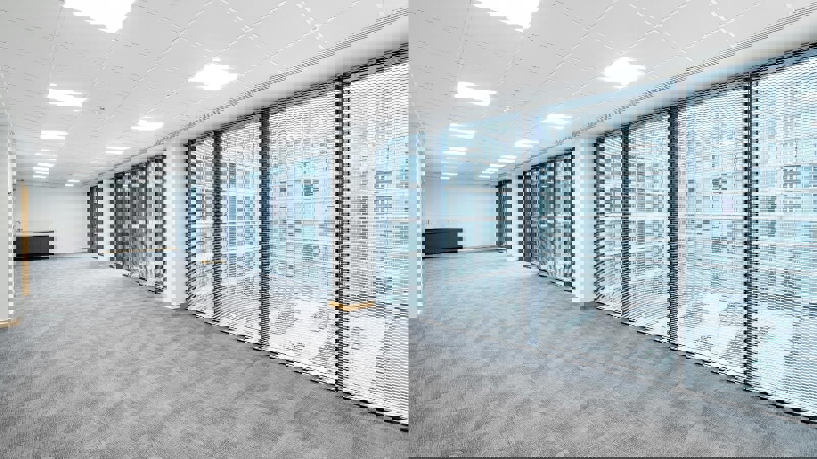 Image 17.jpeg Image 5