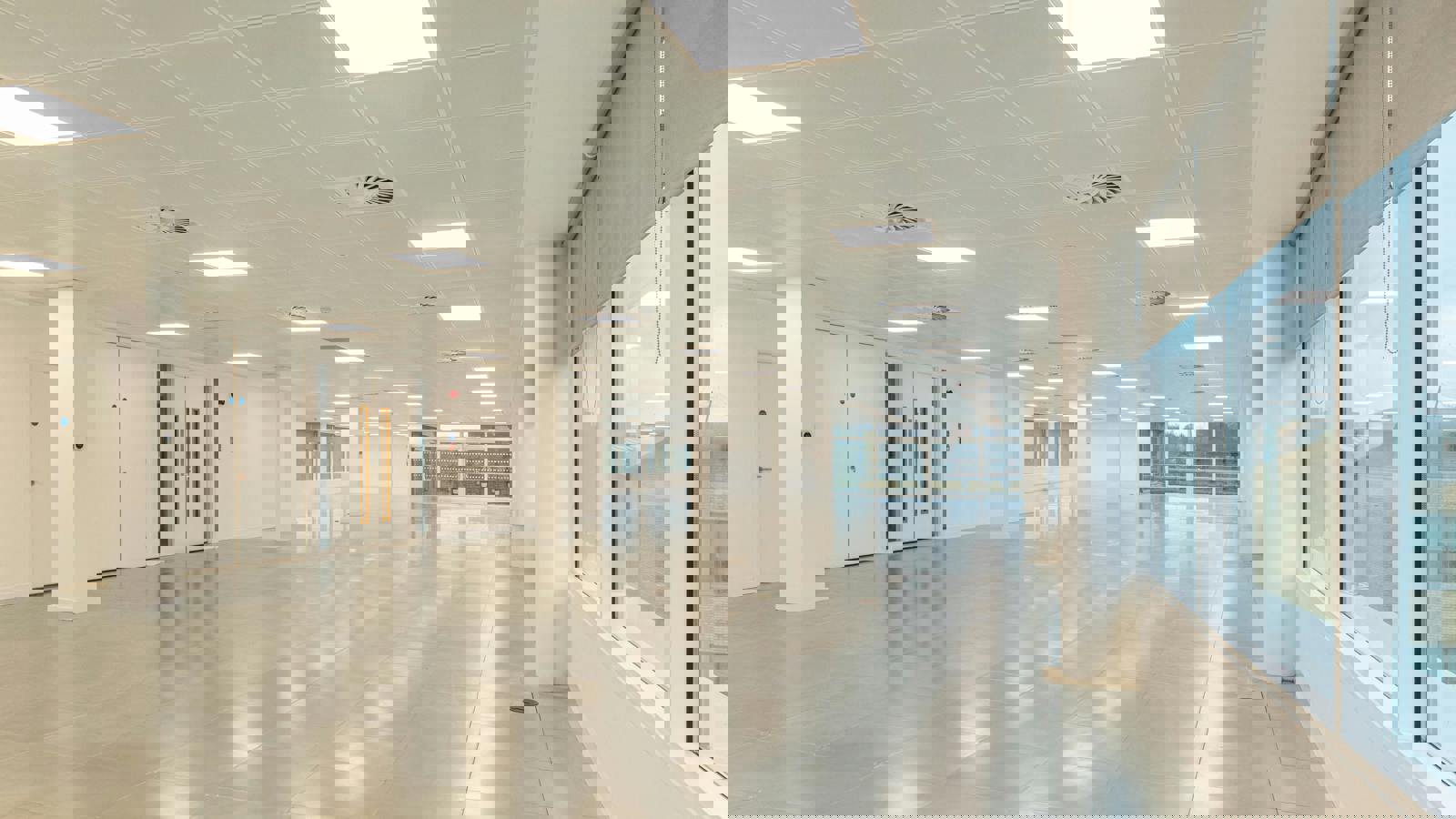 Altius 3rd Floor  Lights On 16.jpg Altius 3rd Floor  Lights On 15