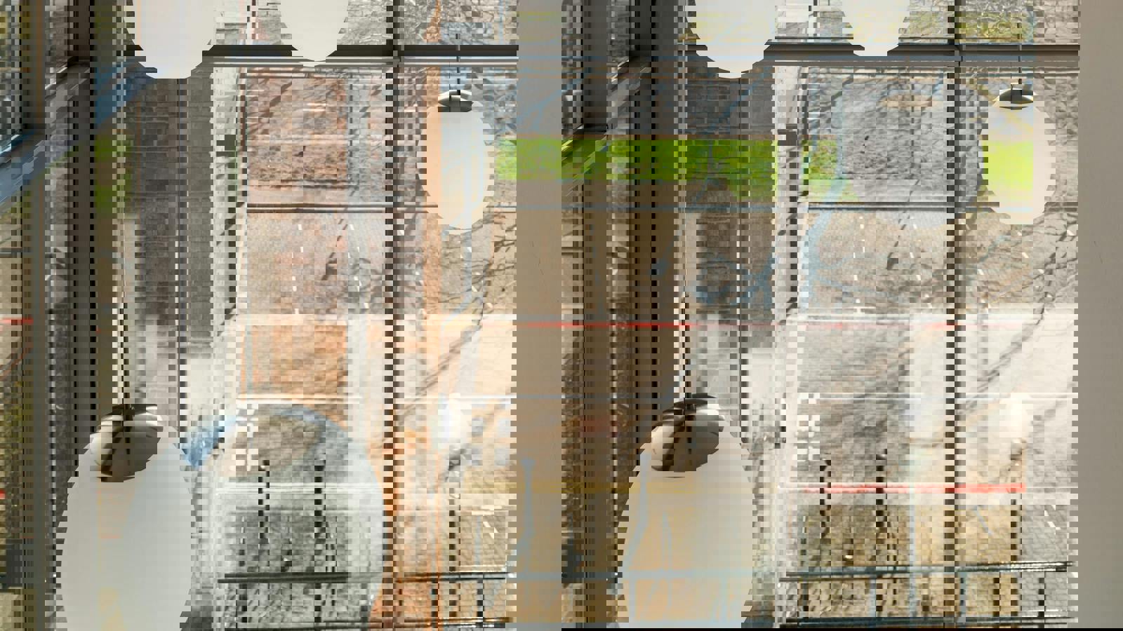 Image 7.jpeg Image 7