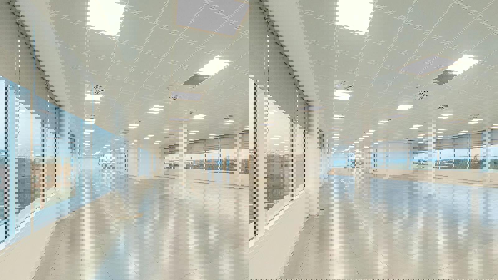 Image 4.jpeg Image 4