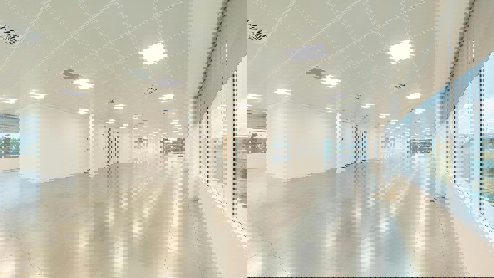 Image 5.jpeg Image 5