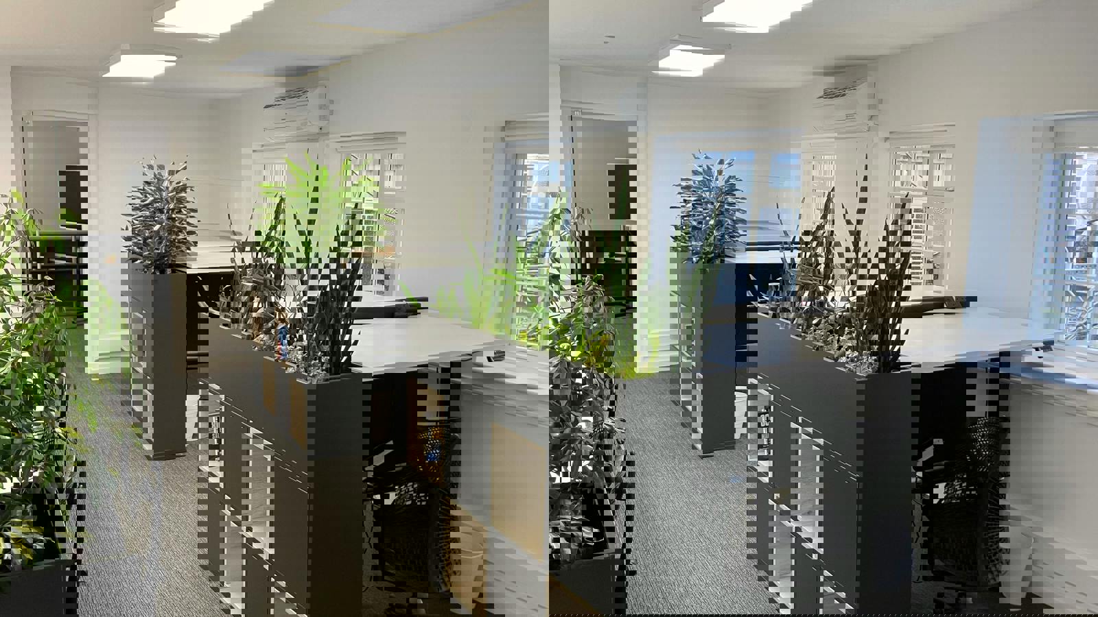 Image 8.jpeg Image 8