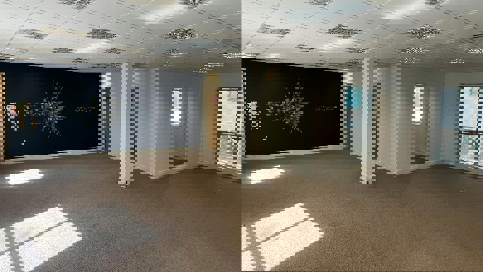 IMG_3730.JPEG IMG_3730