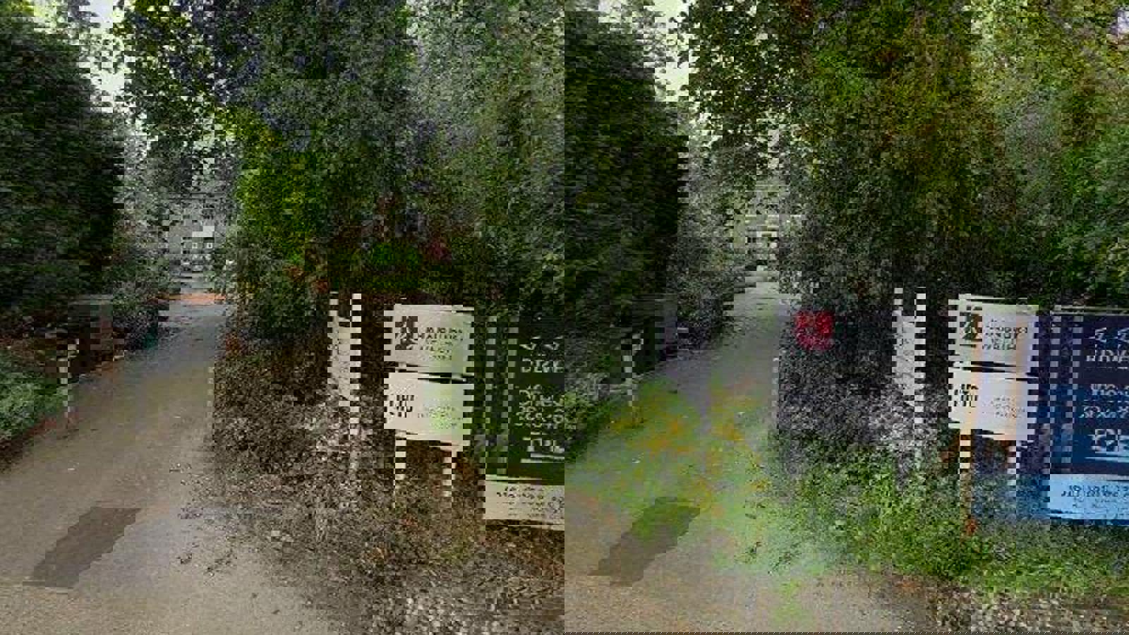 Street View.jpg Street View