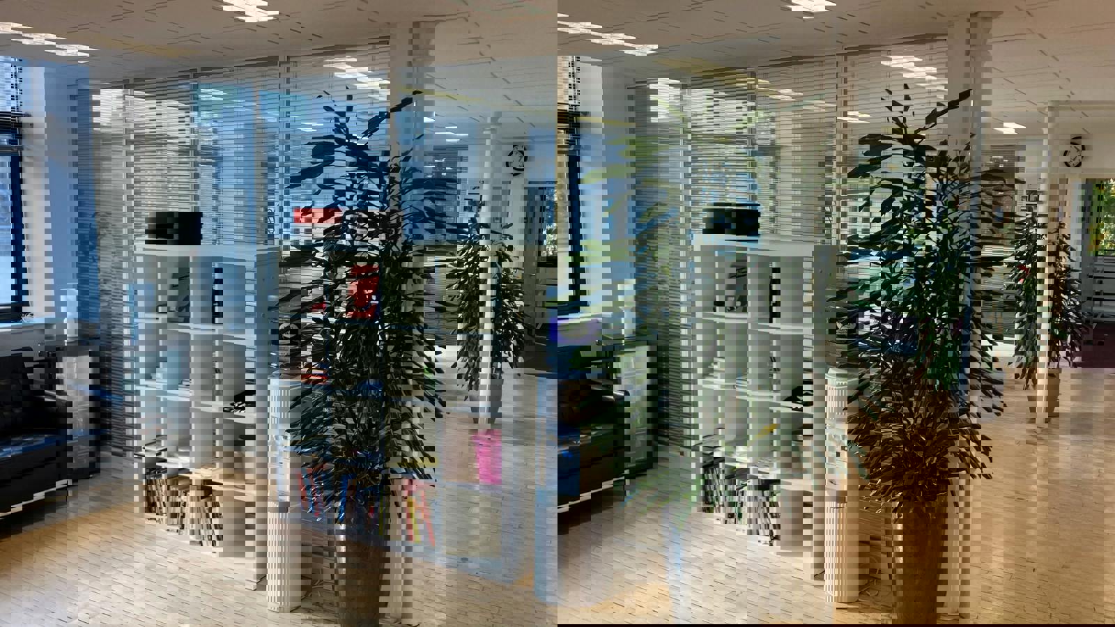 IMG_2838.JPG IMG_2838