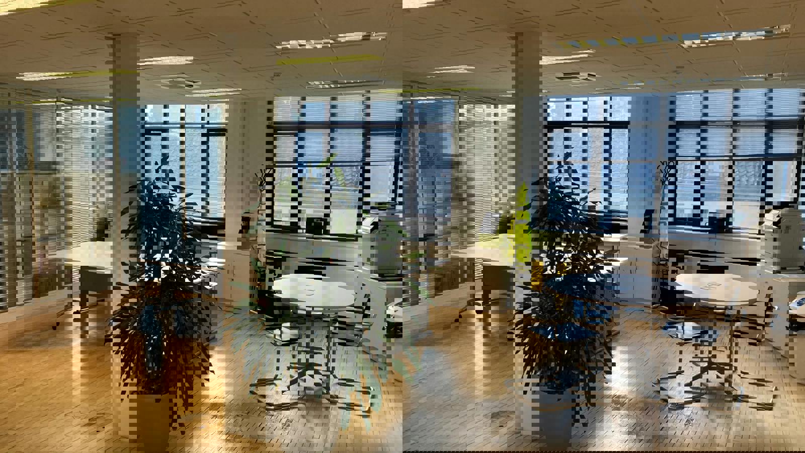 IMG_2844.JPG IMG_2844