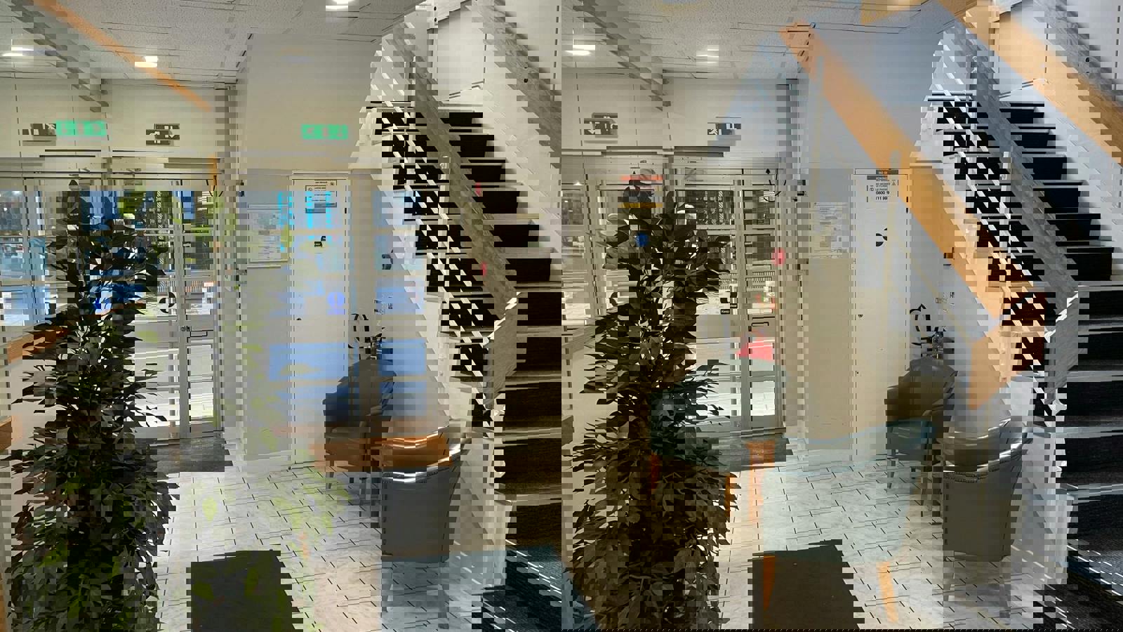 IMG_1623.JPEG IMG_1623