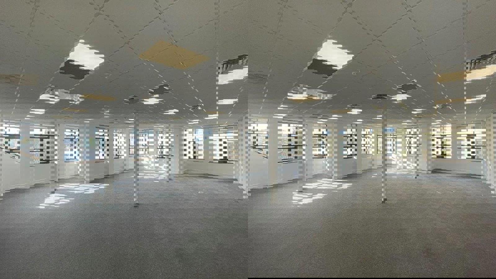 IMG_7626.jpg IMG_7624