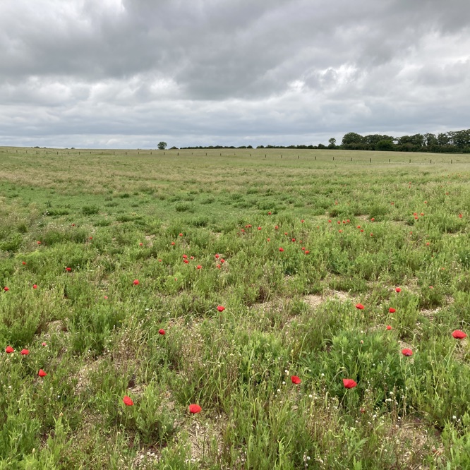 Image of Lower Valley Farm