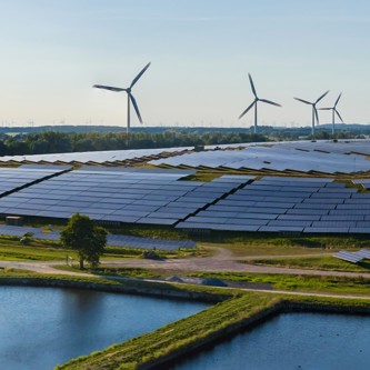 Image of Solar farm cropped