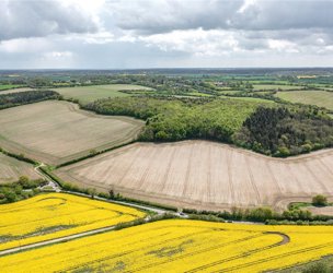 Sewards End, Saffron Walden picture 6