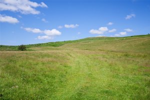 By Dunscore, Dumfries, DG2 0UU picture 5