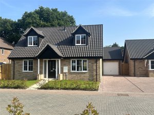 Norfolk, NR13 4RT picture 1