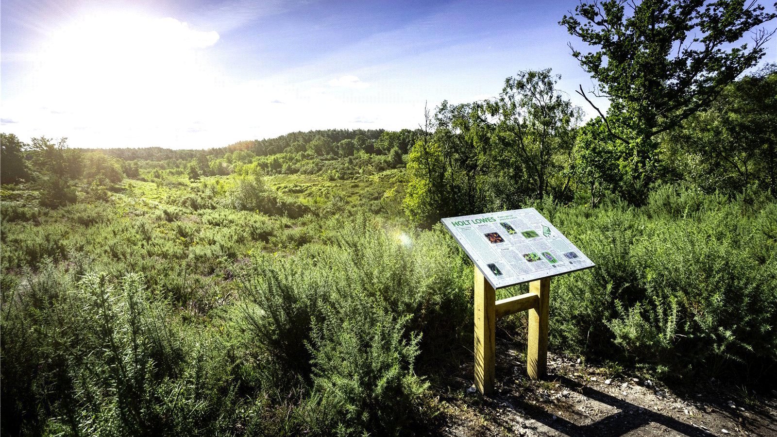 Picture No. 13.jpg Picture No. 13