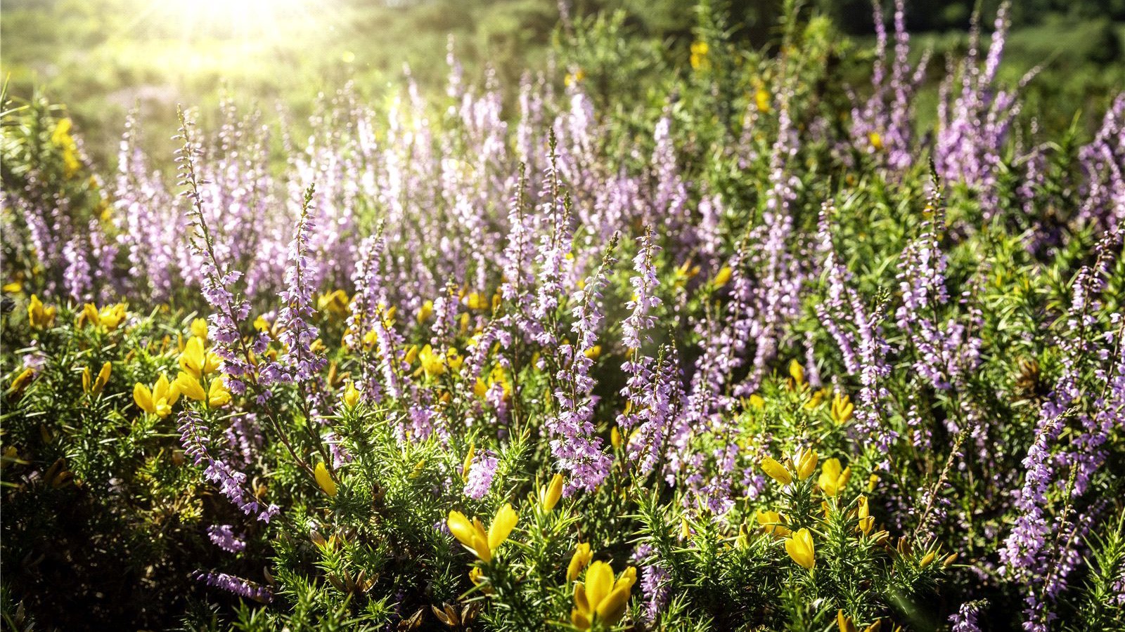 Picture No. 18.jpg Picture No. 17