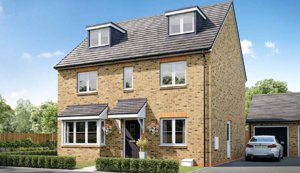 Norwich, NR4 7WT picture 1