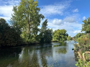 Norwich, NR7 0EF picture 3