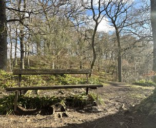 Tummel Crescent and Lagreach Woods, Pitlochry picture 6