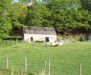 Borrowdale, Arisaig picture 3