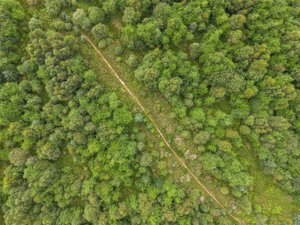 Stirling, Stirlingshire, FK8 3RX picture 6