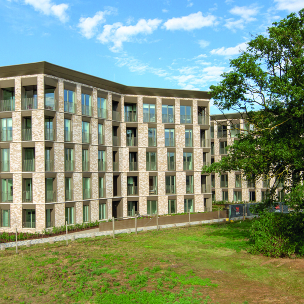 Image of Eddington 7