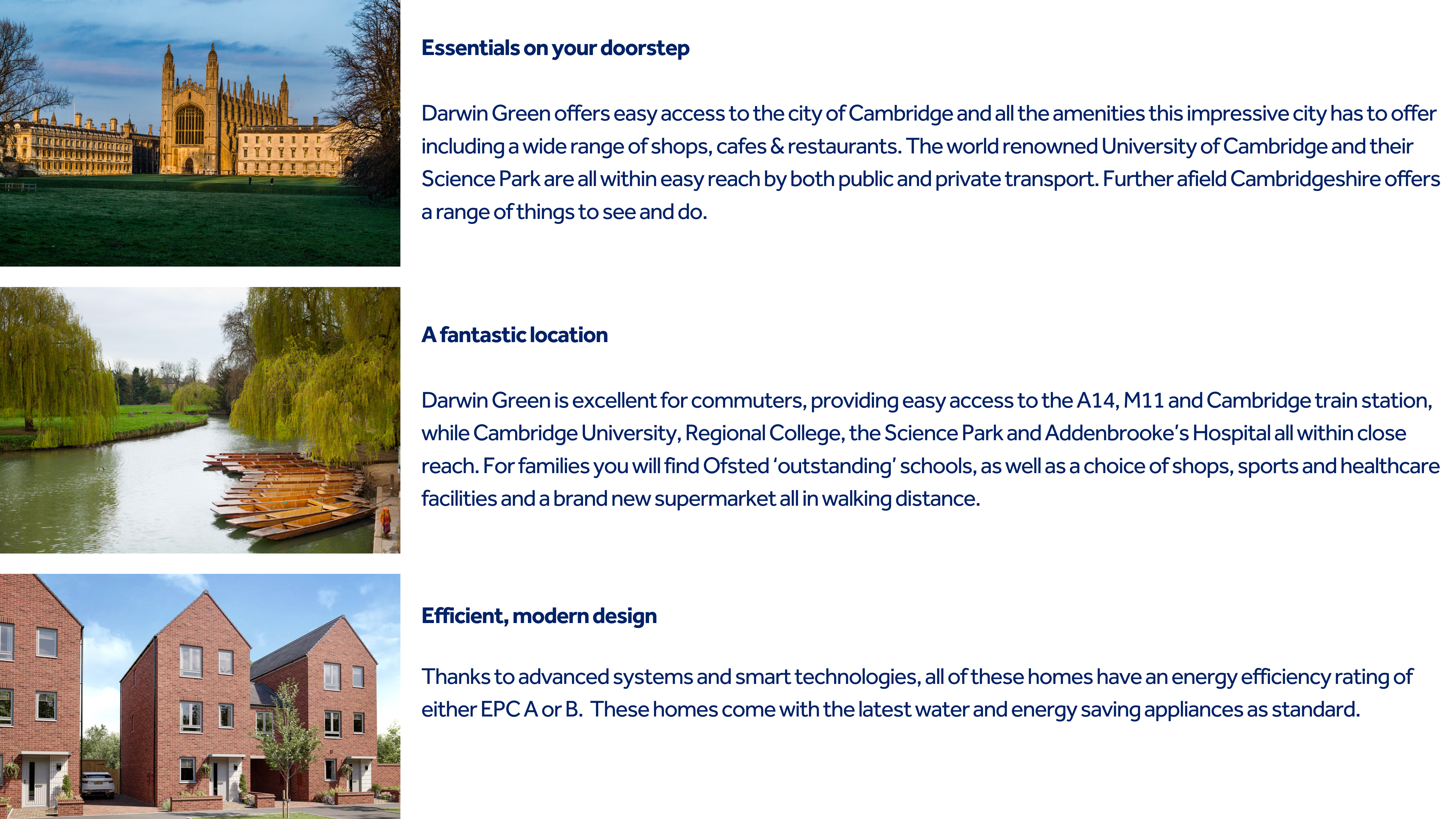 Darwin Green (5).png