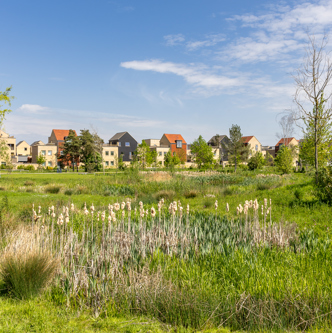 Image of 2025-05-02 Waterbeach-469
