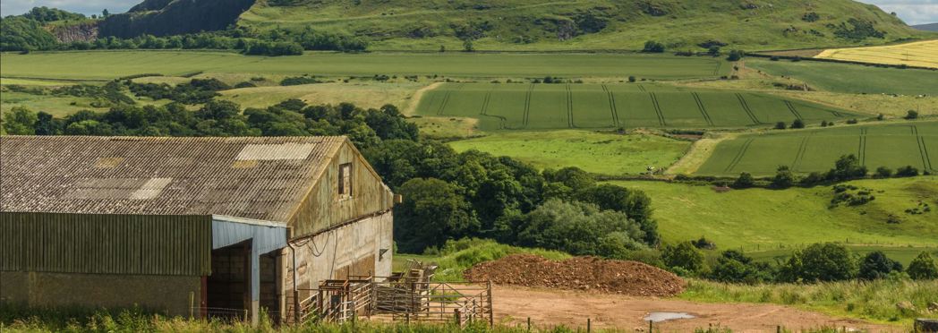 Image of farm scotland